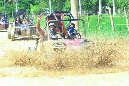 Buggy Ride into the Jungle with Coffee and Chocolate Tasting