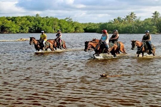 Horseback Riding to Maimon River from Punta Cana