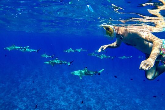 PRIVATE FULL DAY LAGOON TOUR - Bora Bora Cultural Lagoon Tour