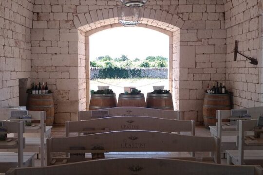 Discover Valle d 'Itria and its wines by ebike