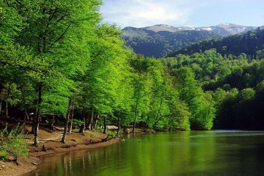 Private tour to Dilijan (Goshavank, Parz (Crystal) Lake, Haghartsin)