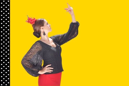Flamenco Dance Class in Málaga Learn a Choreo in 1 hour