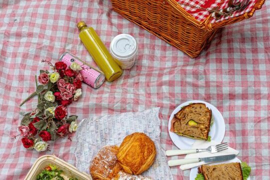 Chapultepec Walking Tour and Picnic