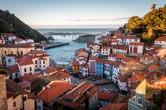 Porto Highlights: The best of Porto City Walking Tour