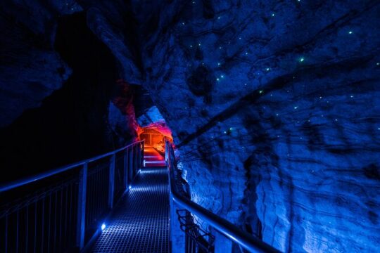 Ruakuri Cave and Hamilton Gardens Budget Day Tour from Auckland
