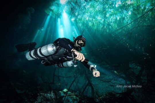 Playa del Carmen Cenote Diving Experience