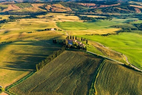 From Florence to Tuscany Winerys