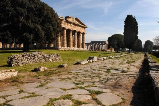 Day trip from Salerno: Paestum and its temples - private tour