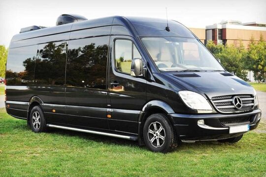 Antalya Airport (AYT) to Manavgat Cenger Transfer - TOP VIP Minibus