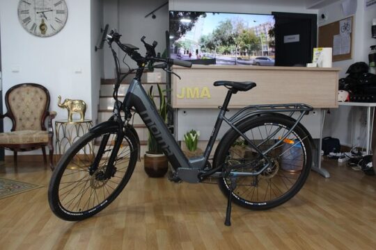 Full Day E-Bike Rental