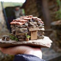 Classes & Workshops