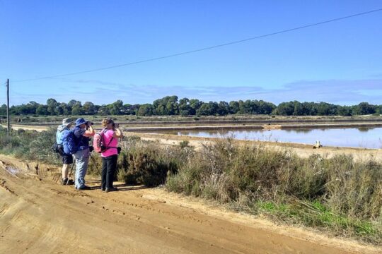 Birding Under Blue Skyes: The Great Bustard Adventure-Self-Guided Birding w/ Car
