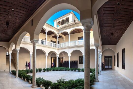 Malaga: Picasso Museum Tour Expert Art Guide with tickets