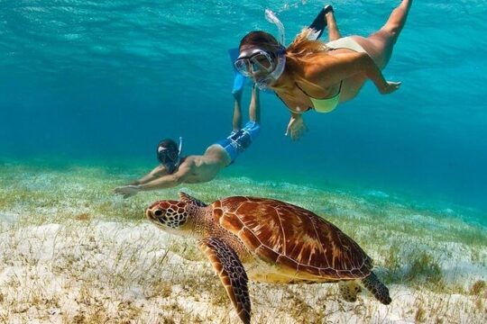 Snorkeling Paddle Private Catamaran 1/2 Day Turks and Caicos