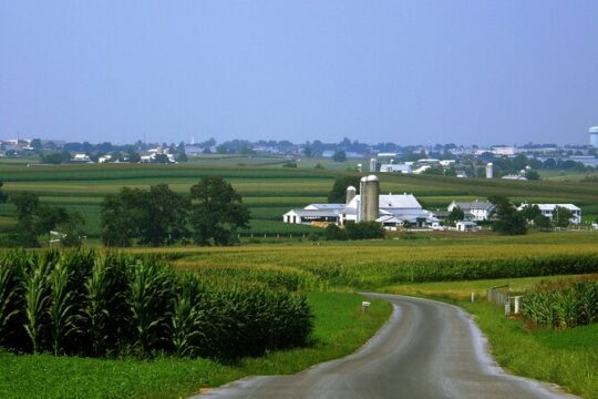 Meal in an Amish Home Experience