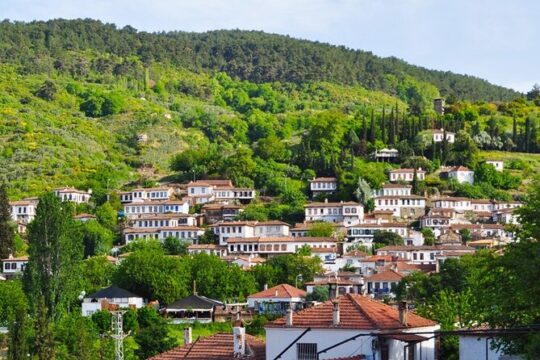 Guided Tour to Ephesus from Kusadasi, Istanbul & Bodrum