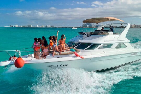 Brown Big Yacht 48ft Rental up to 15 Pax