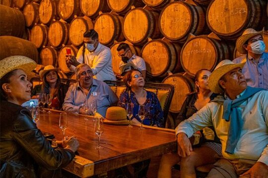 Private Tour one day in Los Guachimontones and Castillo de Tequila
