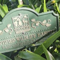 Walking & Biking Tours