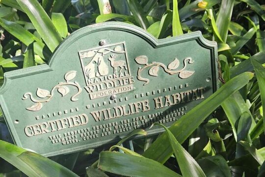 Children's Botanical Garden in St. Thomas USVI
