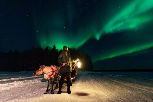 Aurora Hunting by Reindeer Sleigh