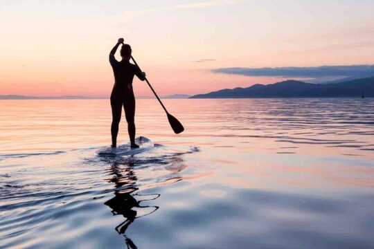 Private Stand Up Paddleboard Group Hire