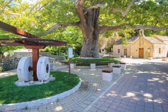 2-Hour Guided Walking Tour in Mlini