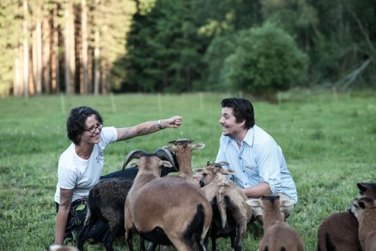 Adventure lesson with farm animals