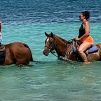 Horseback Riding