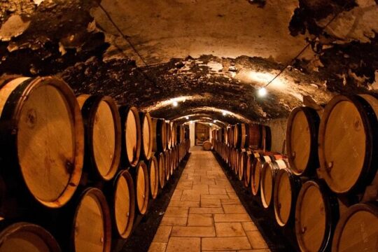 Champagne Region excursion from Paris with Private Driver