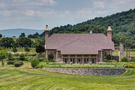 Charlottesville's Best Vineyards & Wineries Private Tour