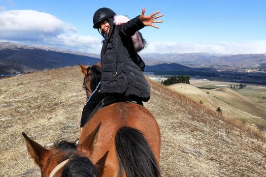 Golden Hills Horse Treks