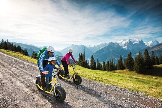 Monster Scooter and Fondue Tour (Private tour)