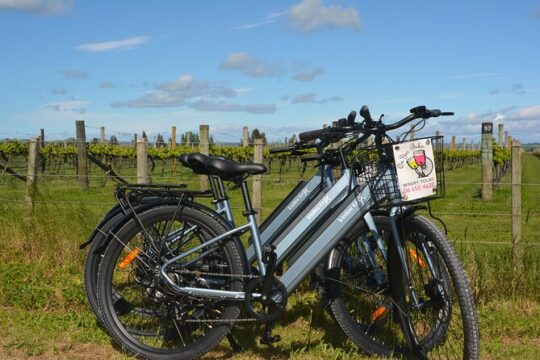 Hawkes Bay Wineries Self-Guided Electric Bike Tour