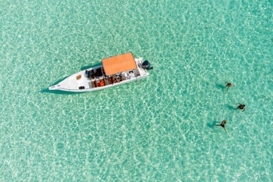 Private Saona Island Excursion