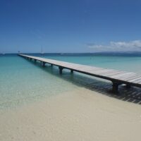 Shore Excursions