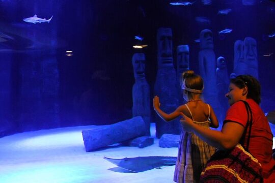 Antalya Tunnel Aquarium with Face2Face Transfers include