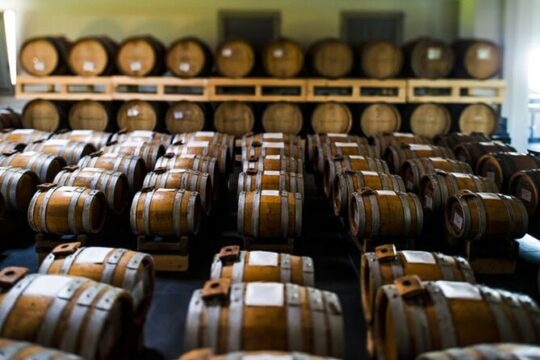 Balsamic Vinegar Cellar Guided tour and tasting in Modena