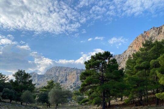 Small Group Hiking in Lindos
