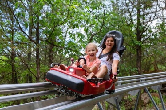 Copperhead Mountain Coaster