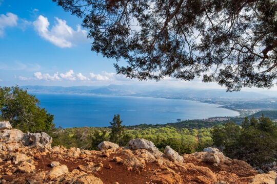 Jeep Safari to Akamas National Park: Private Tour from Paphos