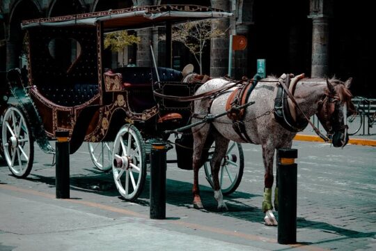 Private Photo Session in the City of Guadalajara