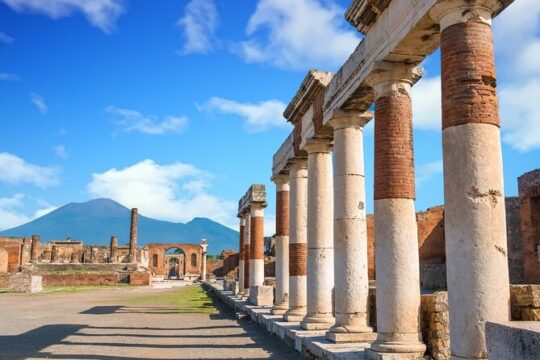 Pompeii and Vesuvius Private Tour with Winery Lunch