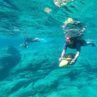 Snorkeling