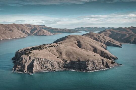 Private Walking Tour From Christchurch - Lyttelton & Godley Head