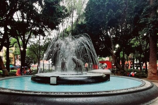 Tour of Xochimilco and The World of Frida Kahlo