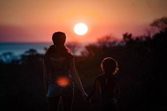 Unique Turtle Sanctuary & Sunset Experience