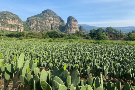 Tour to Discover Tlayacapan, the other side of Tepozteco