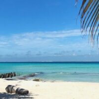 Holiday & Seasonal Tours
