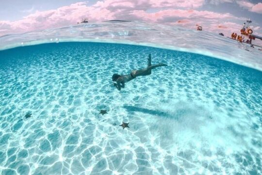 Private Tour in Cozumel El Cielo Sandbar and Reef Snorkeling